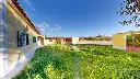 Gloria-do-Ribatejo-70348--03022026_123154.webp